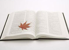 申花球员技惊四座，助球队取得胜利